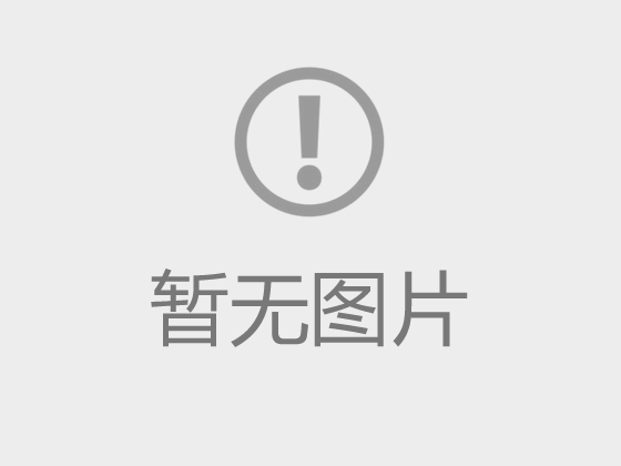 “党建引领 团建同行 清廉筑基”主题党日活动